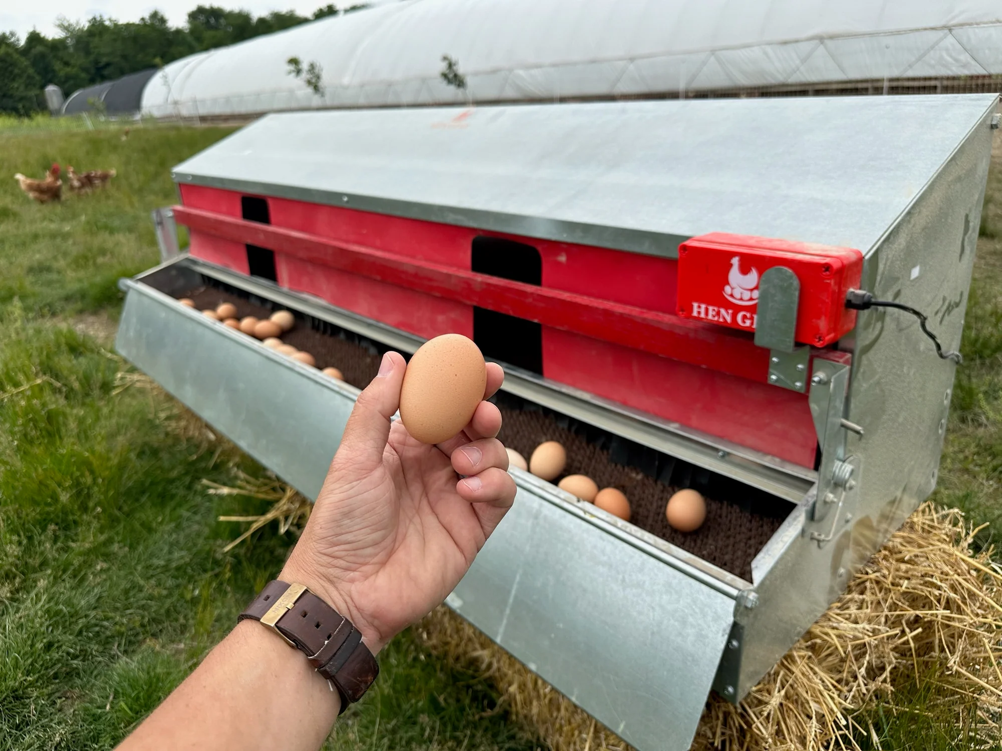 Superior Nests for Modern Flocks
